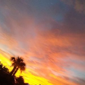 Meet your Posher, Eli